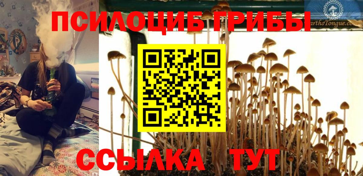 Псилоцибиновые грибы мухоморы Всеволожск