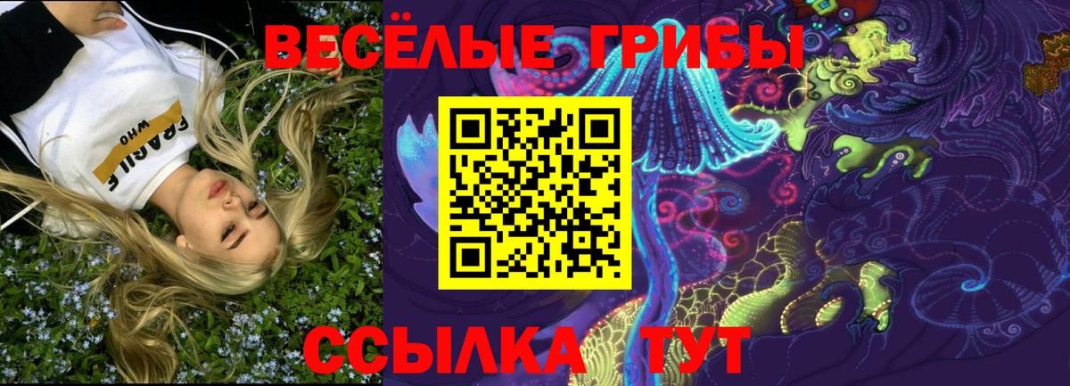 Всеволожск  Галлюциногенные грибы Magic Shrooms  Псилоцибиновые грибы прущие грибы  Вход с VPN 